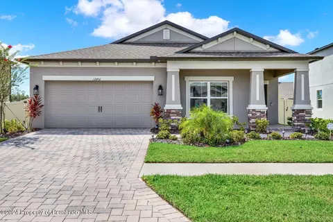 12451 Nouveau Ave, Spring Hill, FL 34610
