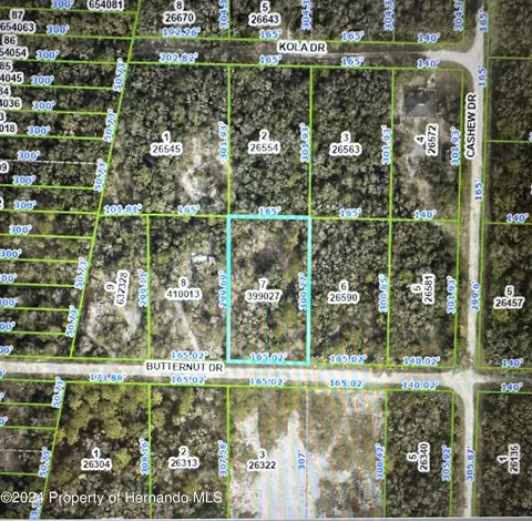 lot7 Butternut Dr, Webster, FL 33597