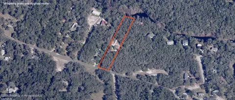 00 Cyril Dr, Ridge Manor, FL 33523