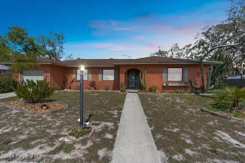 1429 Old Mill Ln, Spring Hill, FL 34606