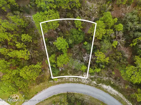 17 Snapdragons Ct, Homosassa, FL 34446