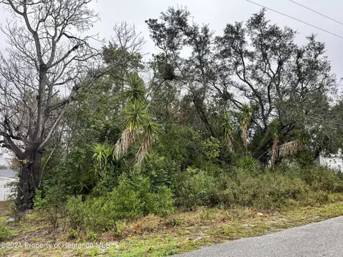 0 Dristol Ave, Spring Hill, FL 34609