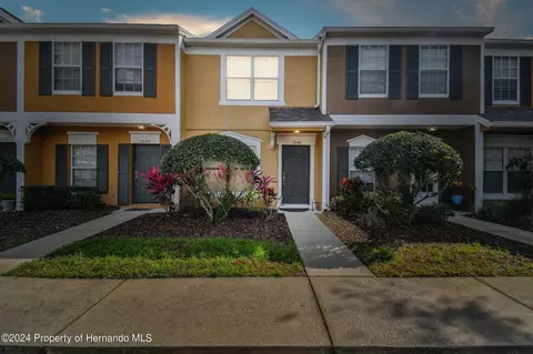 1046 Kennewick Ct, Wesley Chapel, FL 33543