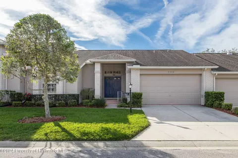 7366 Woodhollow Rd, Spring Hill, FL 34606
