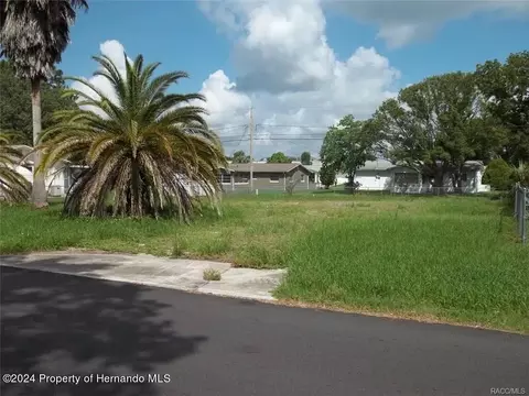 216 S Adams St, Beverly Hills, FL 34465