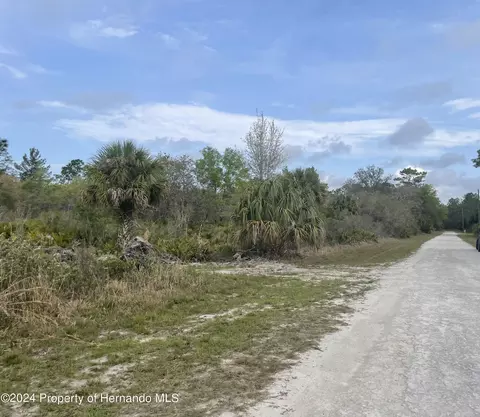 0 Pake, Weeki Wachee, FL 34614