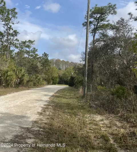 0 Quiet, Weeki Wachee, FL 34614