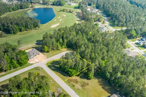 00 Elm Leaf Dr, Brooksville, FL 34601