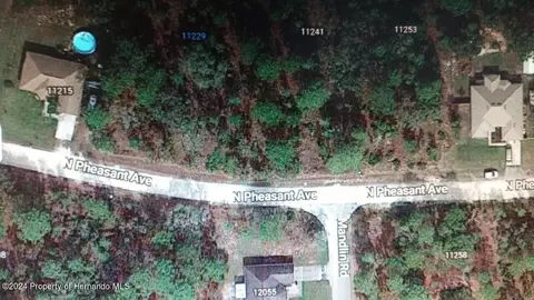 11229 Pheasant N, Weeki Wachee, FL 34614
