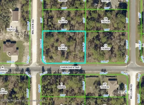 0 Malden Rd, Weeki Wachee, FL 34614