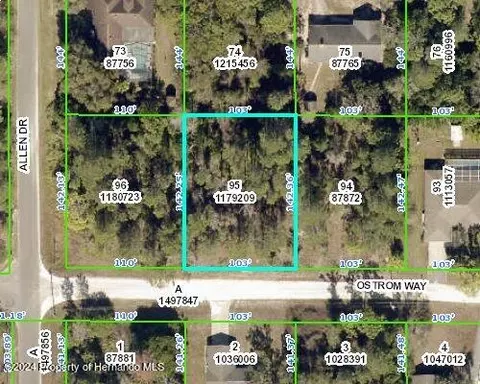 lot95 Ostrom Way, Weeki Wachee, FL 34613