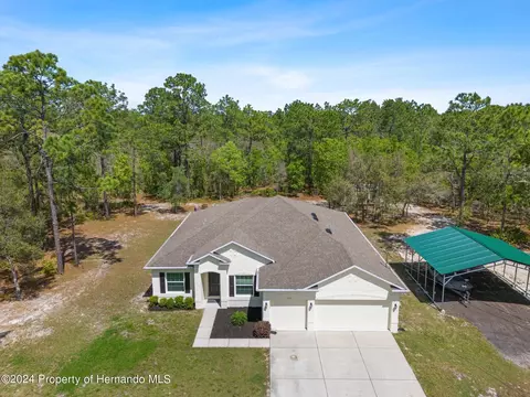 11115 Phylis Ave, Weeki Wachee, FL 34614