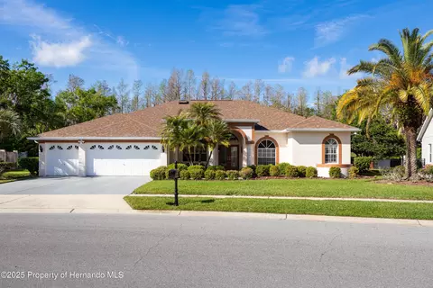 21312 Preservation Dr, Land O'lakes, FL 34638