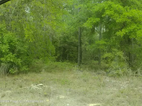 Ooo Red Marlin Avenue, Weeki Wachee, FL 34614