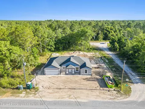 13185 Quigley Ave, Weeki Wachee, FL 34614