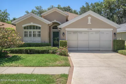 11186 Heathrow Ave, Spring Hill, FL 34609