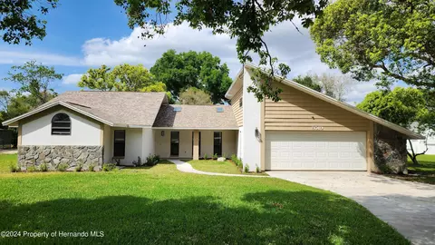 8019 Floral Dr, Weeki Wachee, FL 34607