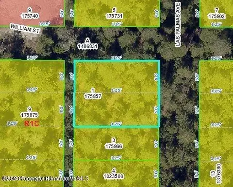 0 Las Palmas Ave, Spring Hill, FL 34606