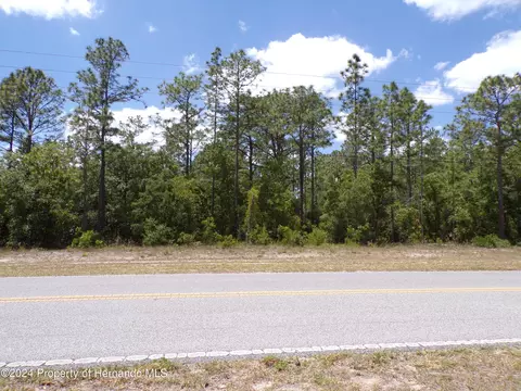 4162 W Citrus Springs Blvd, Citrus Springs, FL 34433