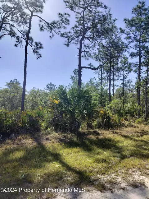 0 Ramsey Rd #3, Weeki Wachee, FL 34614