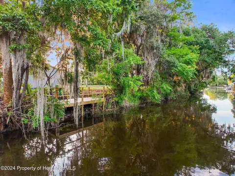 10117 E Bass Cir, Inverness, FL 34450