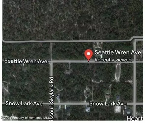 11199 Seattle Wren Ave, Weeki Wachee, FL 34614