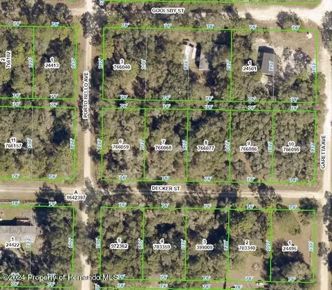0 Decker St, Webster, FL 33597