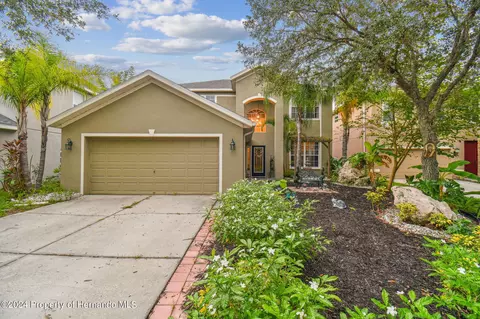 19103 Marisa Ridge Pl, Tampa, FL 33647