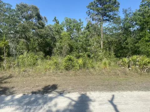 0 Goldfinch Rd #LOT 3, Weeki Wachee, FL 34614
