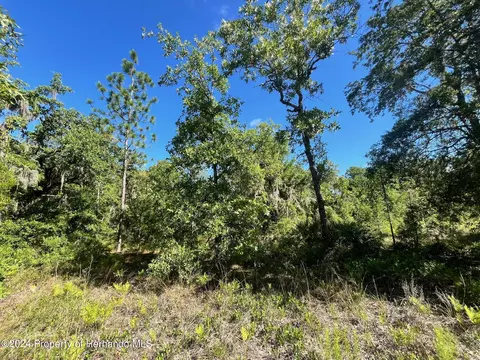 16147 Sheldrake Loop, Weeki Wachee, FL 34614