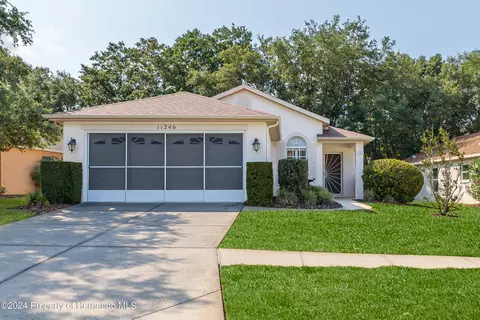 11246 Heathrow Ave, Spring Hill, FL 34609 photo 1