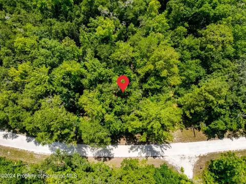 14487 Carolina Dove Rd, Brooksville, FL 34614
