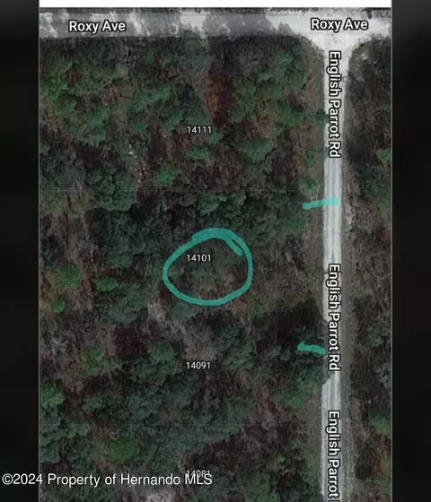 0 English Parrot, Weeki Wachee, FL 34614