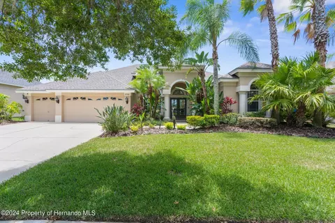 23340 Gracewood Cir, Land O' Lakes, FL 34639