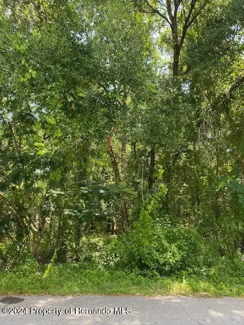 3959 S Ivanhoe Ter, Inverness, FL 34452