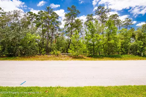 13 Lone Pine St, Homosassa, FL 34446