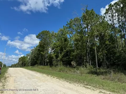 lot15 Red Marlin Ave, Brooksville, FL 34614