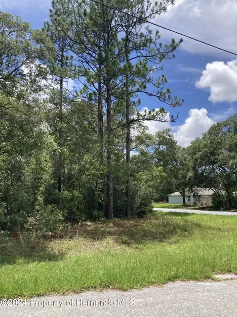 8660 N Trojan Dr, Citrus Springs, FL 34433
