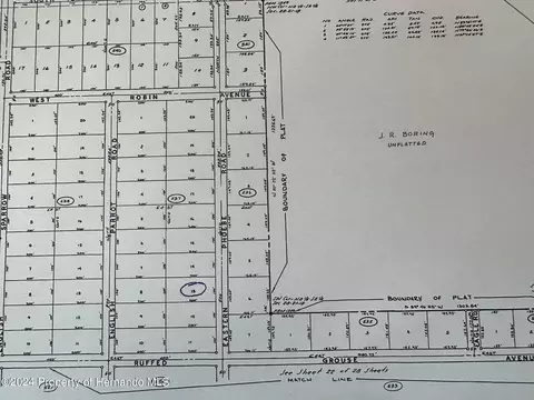0 Eastern Phoebe Rd, Brooksville, FL 34614