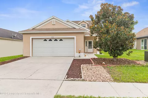 14130 Lemon Yellow Tree Ln, Brooksville, FL 34613