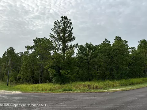 lot1 Penn State Rd, Weeki Wachee, FL 34614