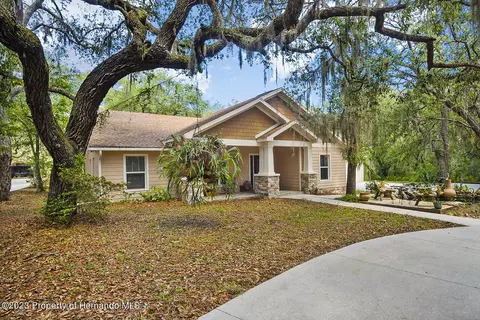 11193 Baltimore St, Weeki Wachee, FL 34614