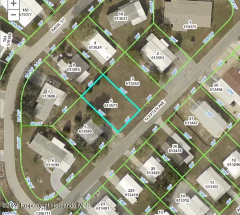 9241 Scepter Ave, Brooksville, FL 34613