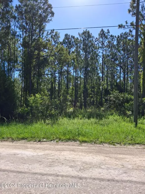15262 Coot Rd, Weeki Wachee, FL 34614
