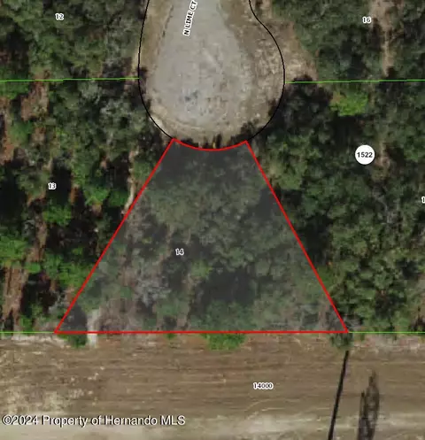 6876 N Lime Dr, Citrus Springs, FL 34433