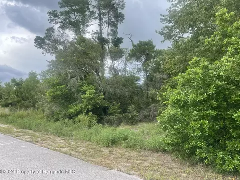 0 Lyon Rd, Spring Hill, FL 34606