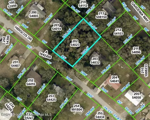 0 Hibiscus Dr, Ridge Manor, FL 33523