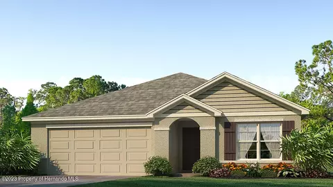 11532 Timber Grv Ln, Spring Hill, FL 34613