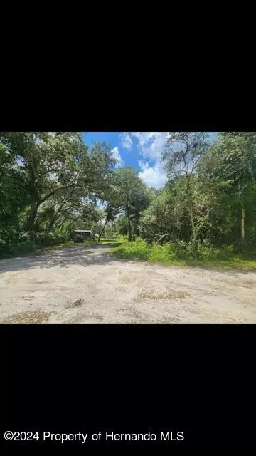 7307 Sling Shot Dr, Webster, FL 33597
