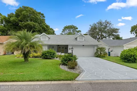 2321 Palm Springs Ct, Spring Hill, FL 34606